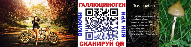 Псилоцибиновые грибы Magic Shrooms сколько стоит Санкт-Петербург